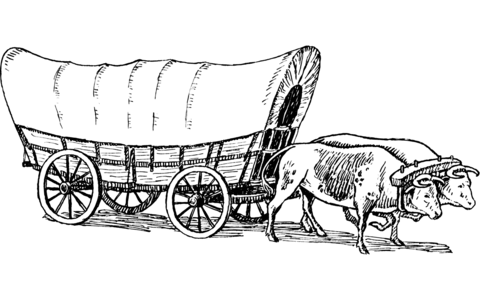 Conestoga Wagon Pulled By Oxen Coloring Page